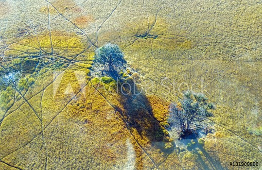Picture of Okavango delta Okavango Grassland is one of the Seven Natural Wonders of Africa view from the airplane - Botswana
